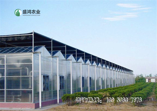 阳光板温室