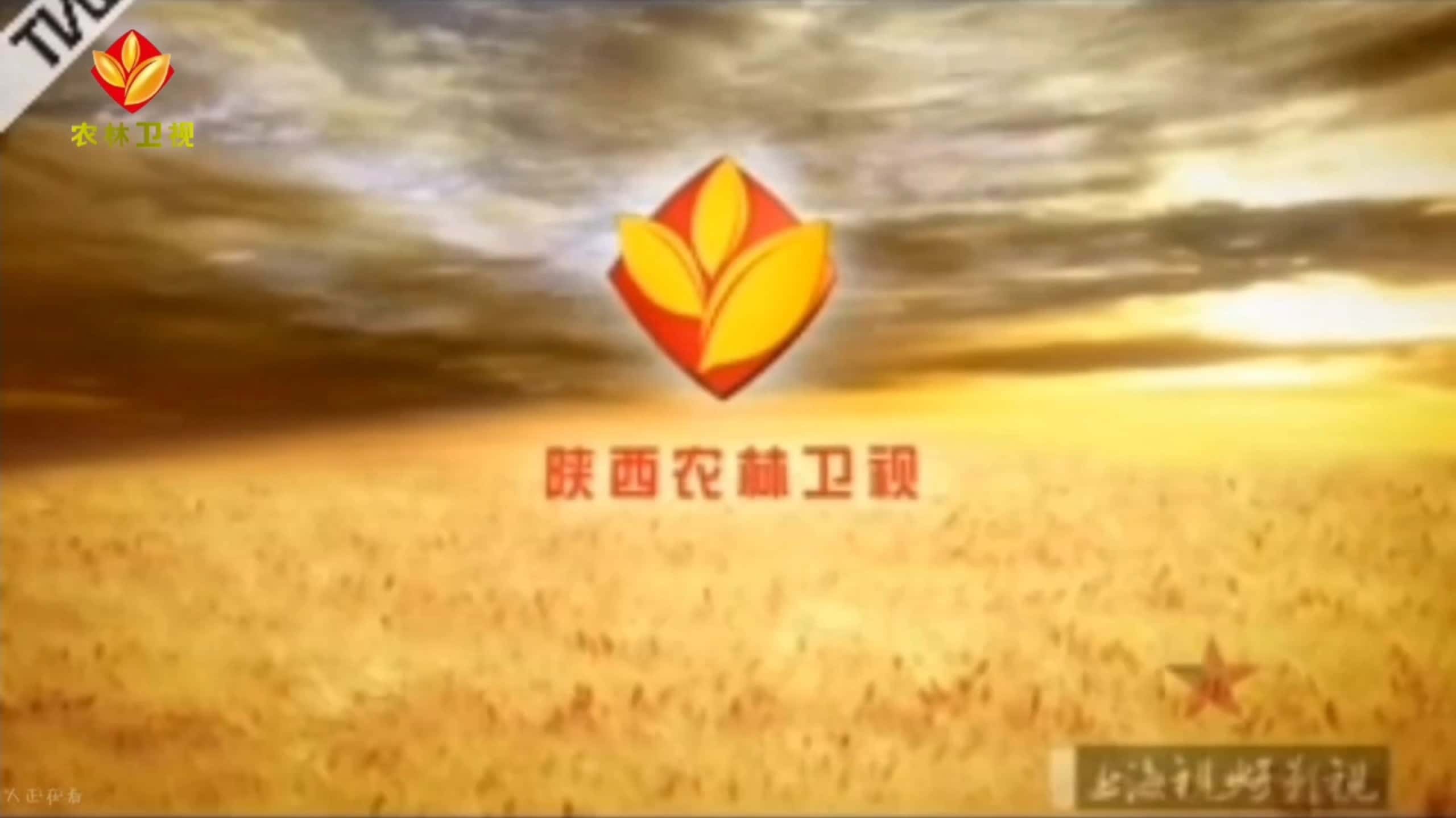 农林卫视